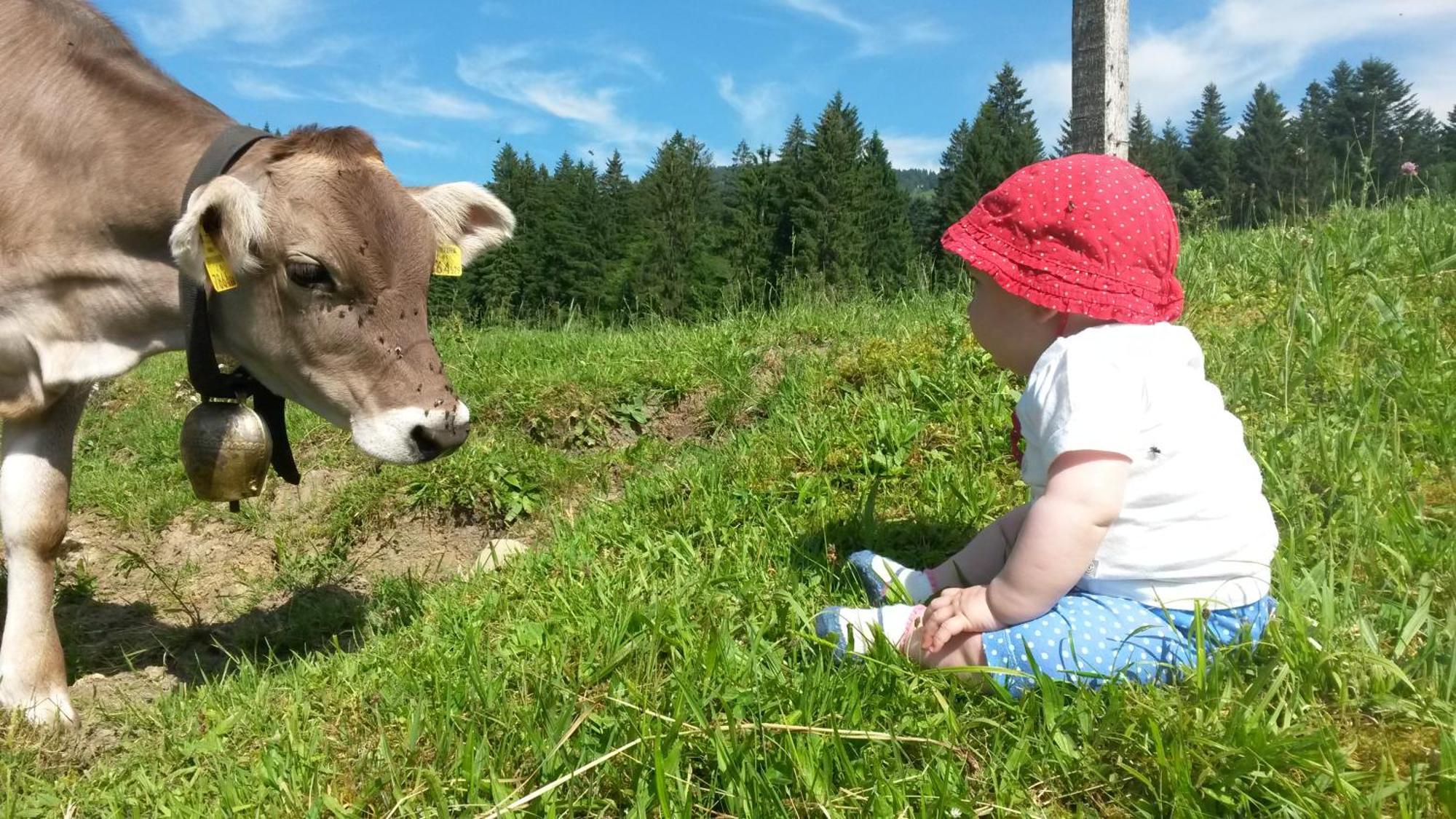 Ferienhof Dürlinde Hittisau Exterior foto