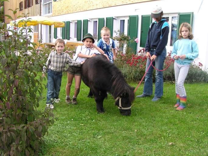 Ferienhof Dürlinde Hittisau Exterior foto