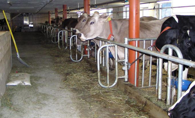 Ferienhof Dürlinde Hittisau Exterior foto